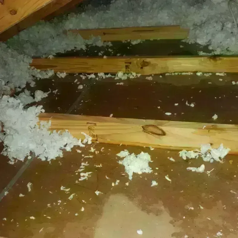 Attic Water Damage in Connersville, IN